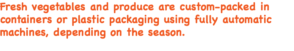 Fresh vegetables and produce are custom-packed in containers or plastic packaging using fully automatic machines, depending on the season. 
