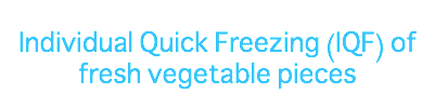 &nbsp;Individual Quick Freezing (IQF) of fresh vegetable pieces