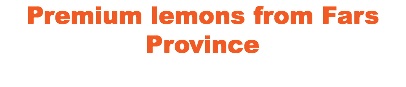 Premium lemons from Fars Province 