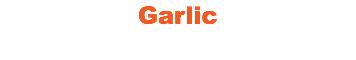 Garlic
