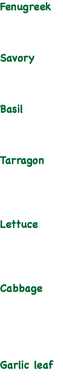 Fenugreek Savory Basil Tarragon Lettuce Cabbage Garlic leaf 